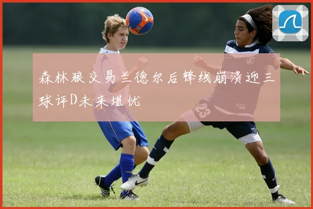 森林狼交易兰德尔后锋线崩溃迎三球评D未来堪忧